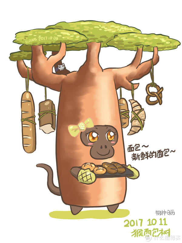 2017年物种日历 篇十九:猴面包树能用来烤面包吗?这五