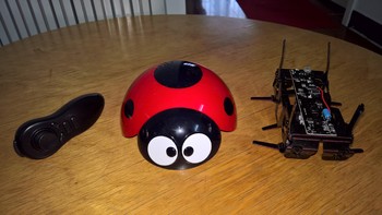 我的第三次轻众测：DFRobot出品 逗逗虫机器人，给儿子的新年礼