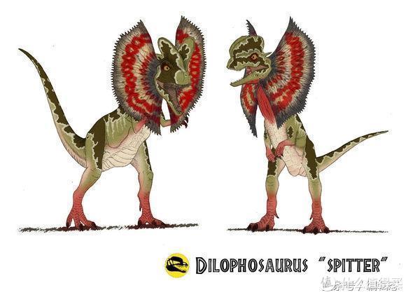 双脊龙(学名dilophosaurus),又名双棘龙,双嵴龙或双冠龙,是一属兽脚亚