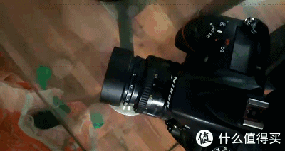 自动对焦的八羽怪?这是什么骚操作?