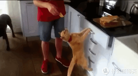 懒人如何维持厨房整洁?有这些厨卫好物就够了!