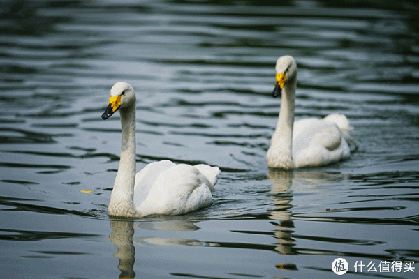 24张/秒高速连拍