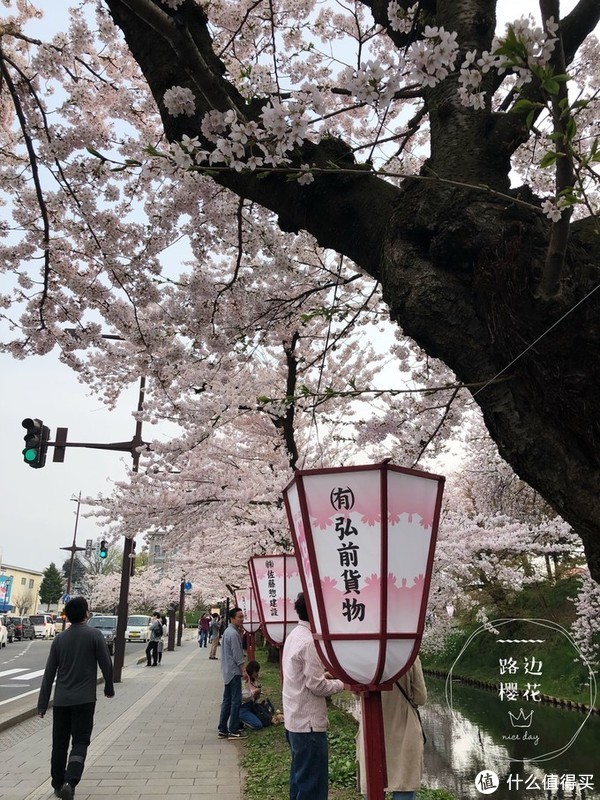 随心旅游 篇一:避开日本热门樱花季,错峰看看最美的青森樱花