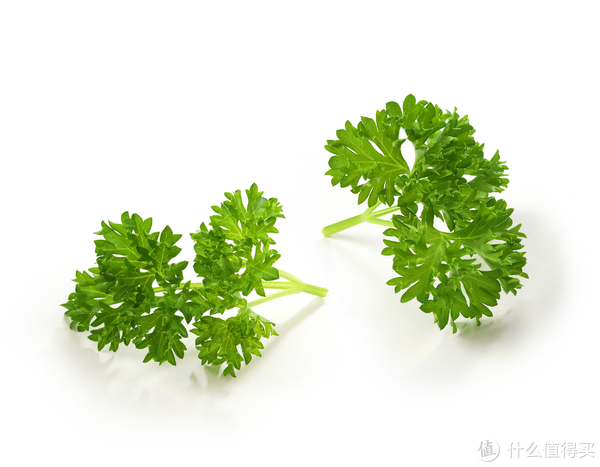 欧芹(parsley)