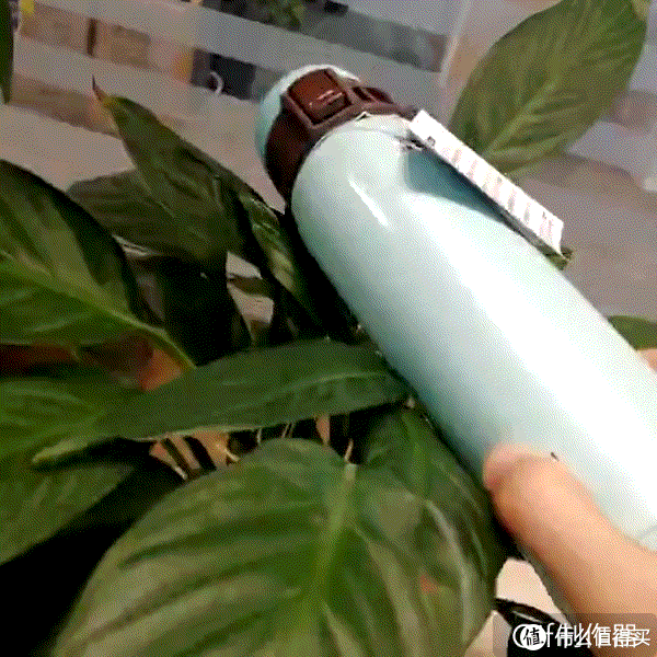 圣诞小鹿——小鹿 黄(小鹿乱撞色) b.