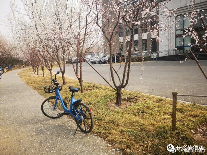 【v苹果声】苹果发布新款AirPods,无线充电版本魅蓝手机音乐图片