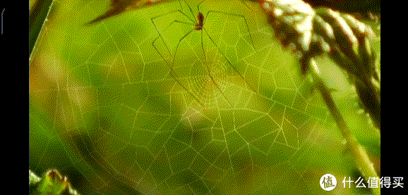 如水妈妈好物清单篇二酷暑难耐第一弹夏季蚊虫叮咬多这出玩虫防蚊大戏