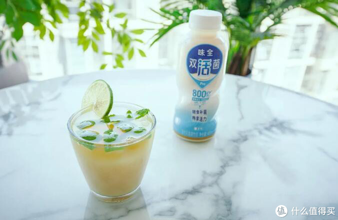 乳酸菌茉莉气泡