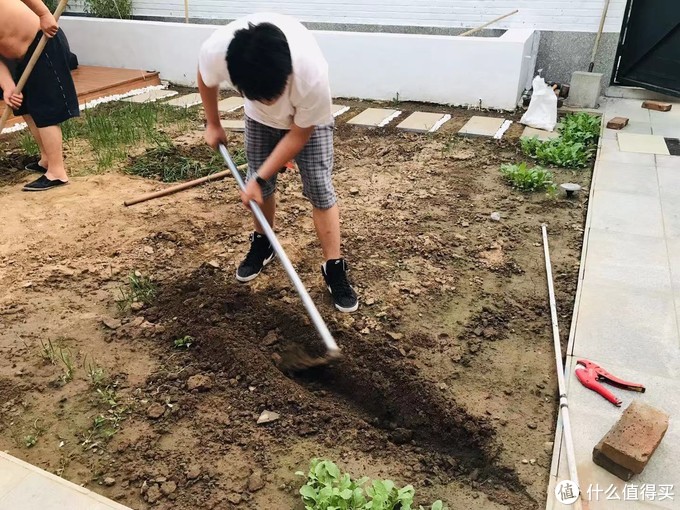 后面小路已经铺好挖一条沟埋水管做自动灌溉系统