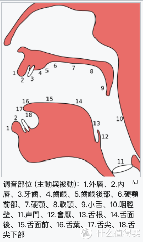 沟通提升计划篇一 如何科学地锻炼和使用发声器官