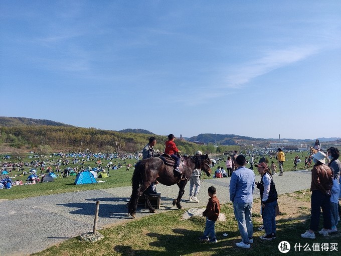 五一长假好去处大连三寰牧场的风景美如画