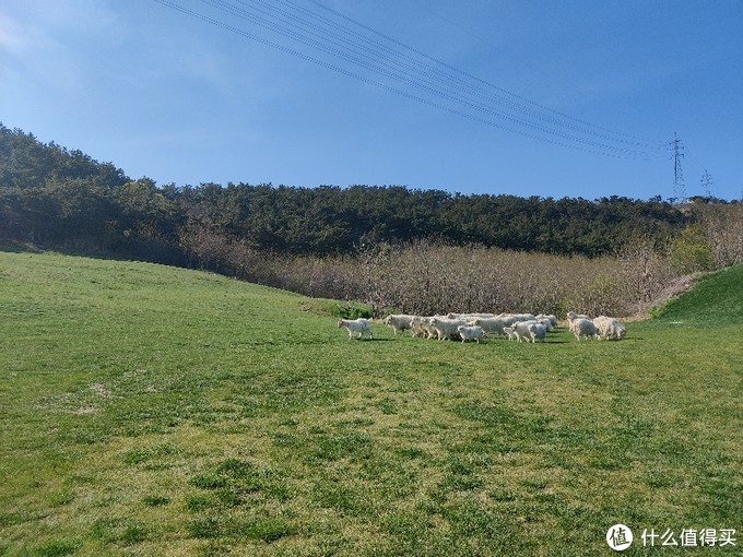 五一长假好去处大连三寰牧场的风景美如画