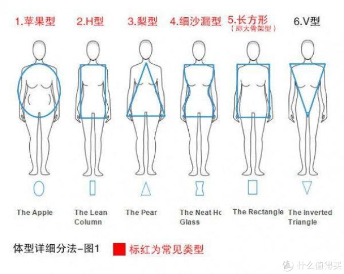 骨感美已经是过去时微胖女孩才是永远的神