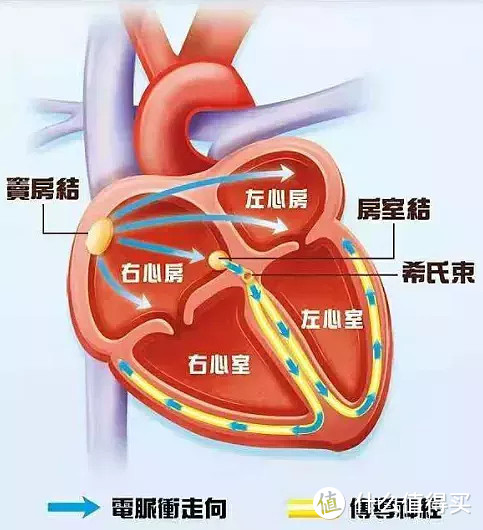 心电图检查异常还能买到保险吗