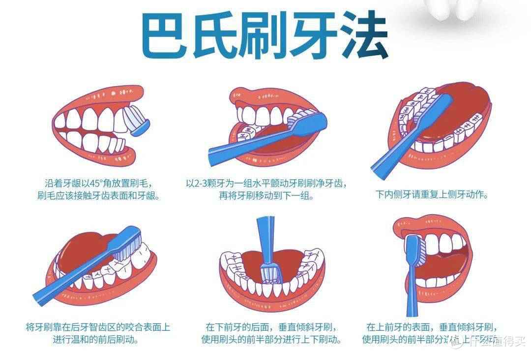 刷牙方式上一定要注意尽量选择巴氏刷牙法,对牙齿的清洁和护牙程度会
