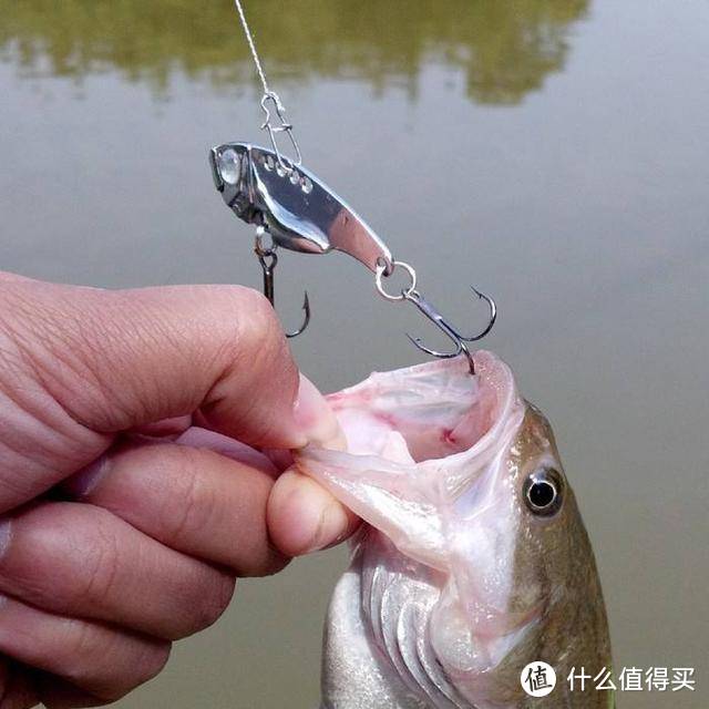 钓圈16期钓什么鱼用什么钩了解鱼钩种类才能更好的钓鱼