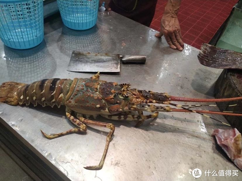 吃了两条大龙虾浅谈眼斑龙虾和加州龙虾的区别