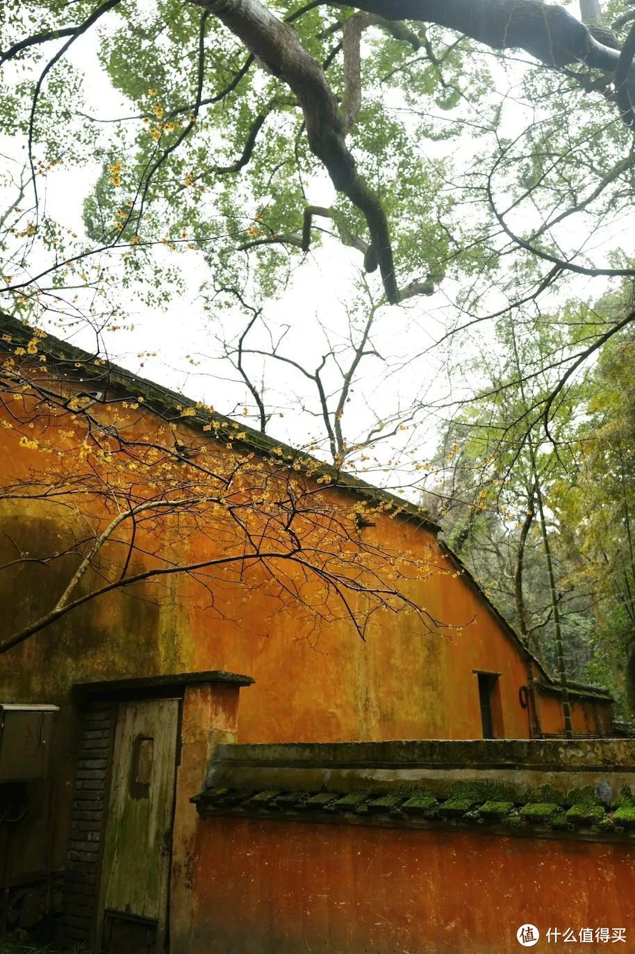 现在大家看到的国清寺建筑风格是清代早期的官式建筑.