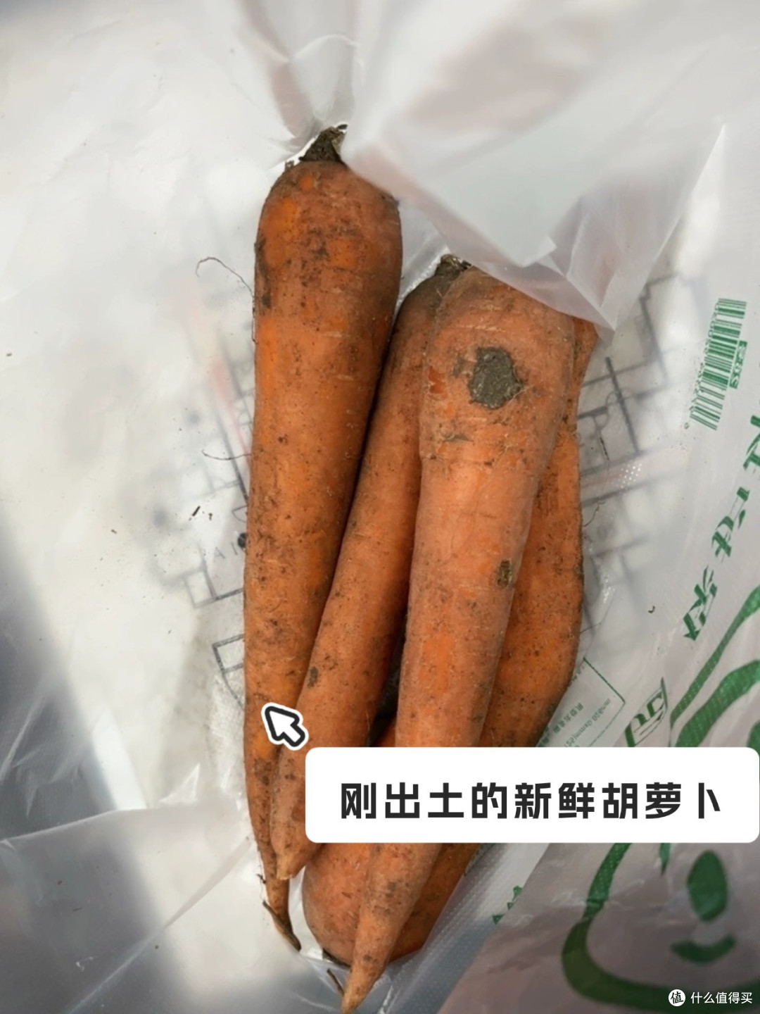 猫咪食谱丨猫能吃胡萝卜吗？_蔬菜_什么值得买