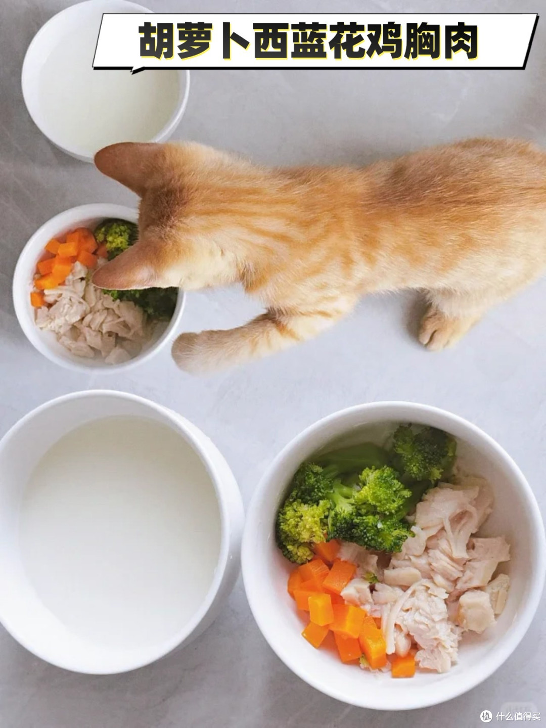 猫咪食谱丨猫能吃胡萝卜吗？_蔬菜_什么值得买