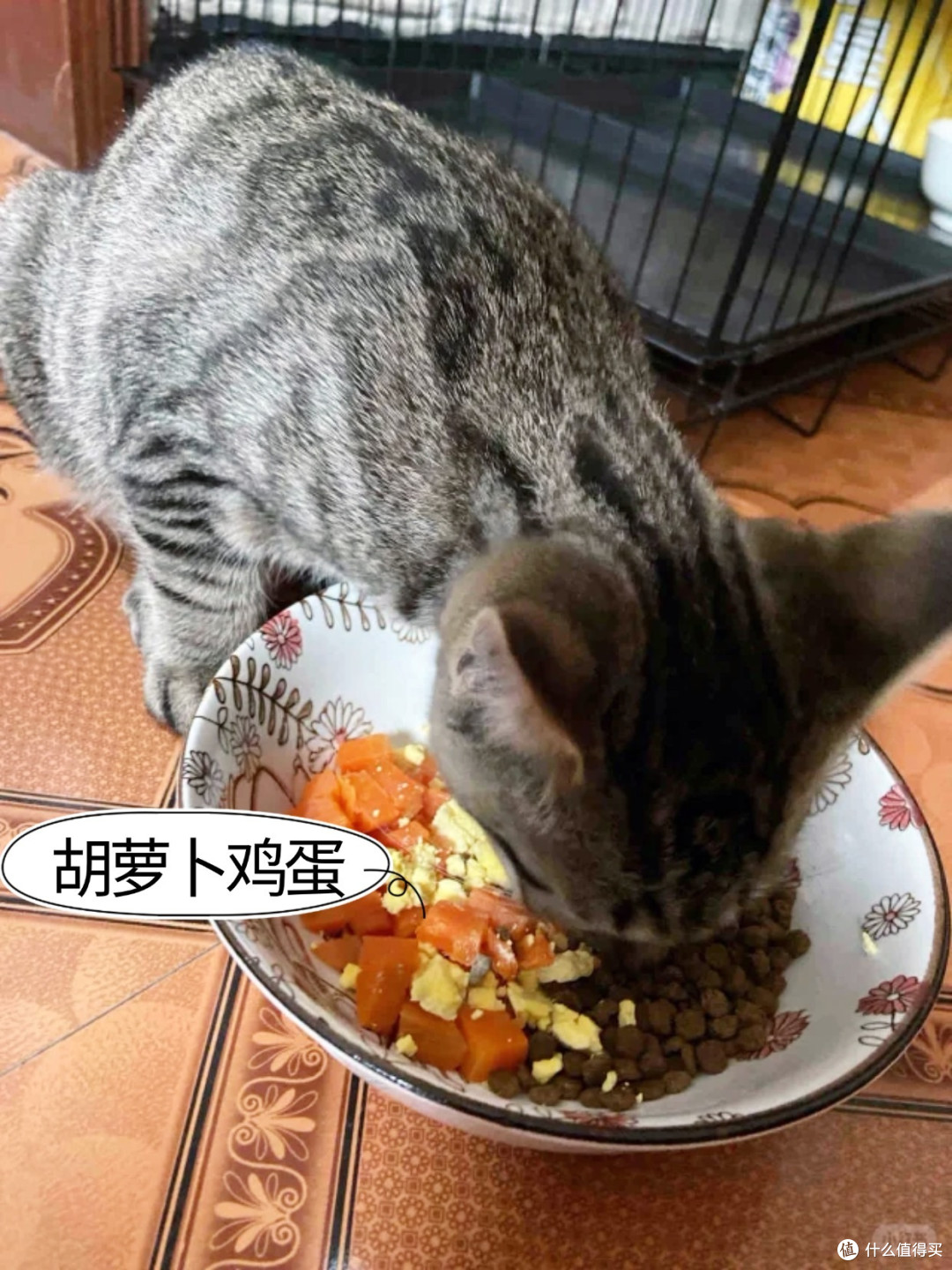 猫咪食谱丨猫能吃胡萝卜吗？_蔬菜_什么值得买
