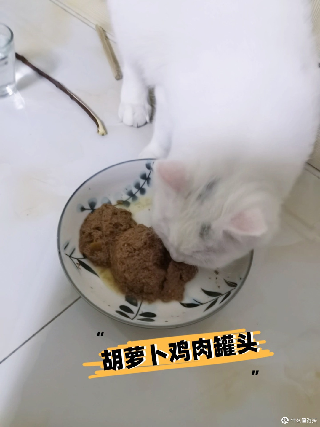 猫咪食谱丨猫能吃胡萝卜吗？_蔬菜_什么值得买