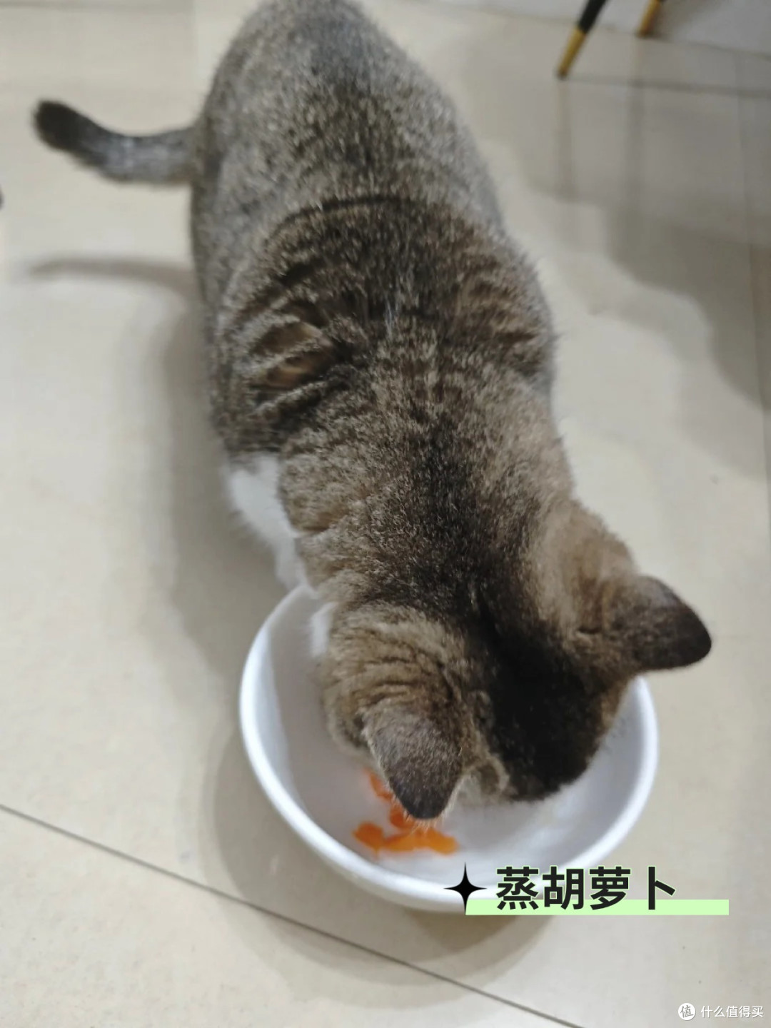 猫咪食谱丨猫能吃胡萝卜吗？_蔬菜_什么值得买