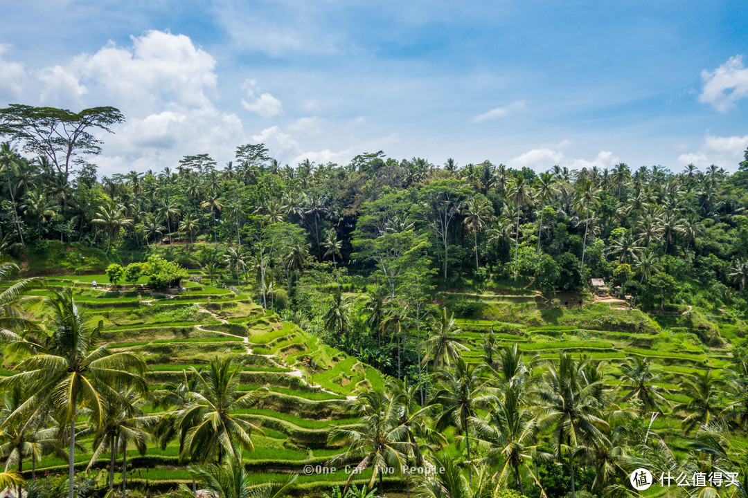 Rice Terrace