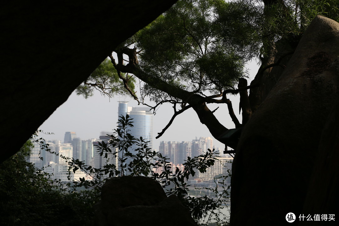 紧张过后的放松：说走就走，厦门+武夷山 10日游