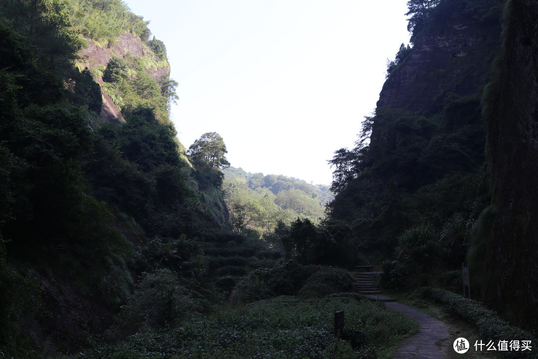 紧张过后的放松：说走就走，厦门+武夷山 10日游