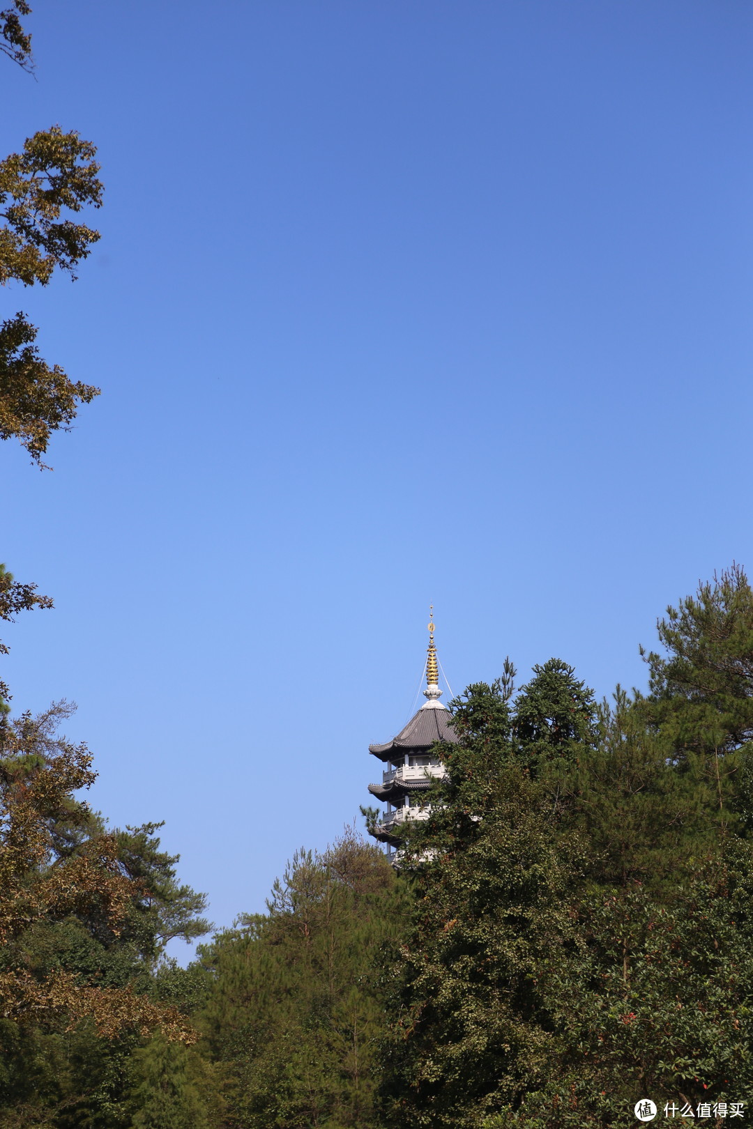 紧张过后的放松：说走就走，厦门+武夷山 10日游