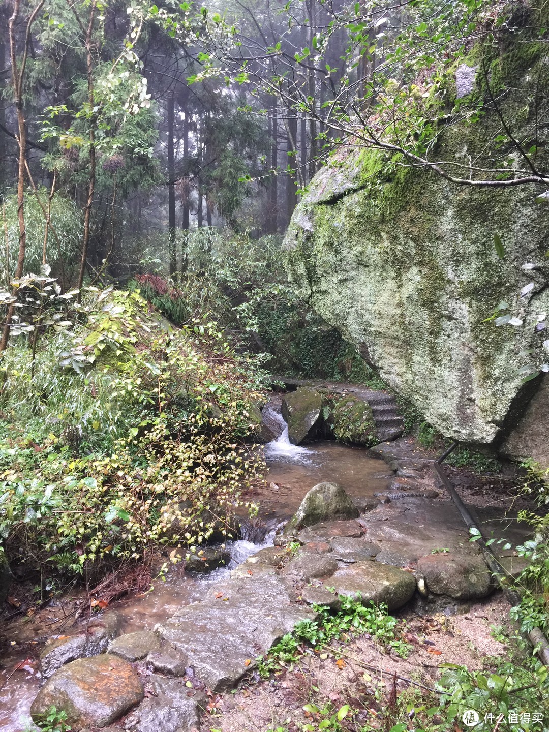 归去何须别看山——南岳衡山游