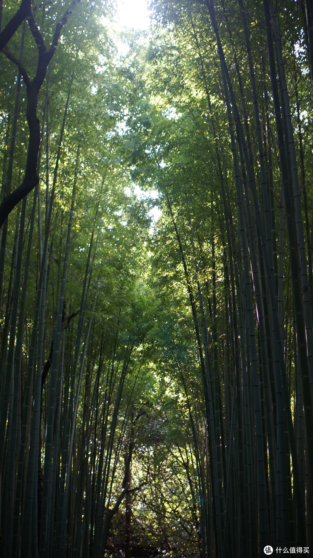 日本的传统寺庙和皇宫