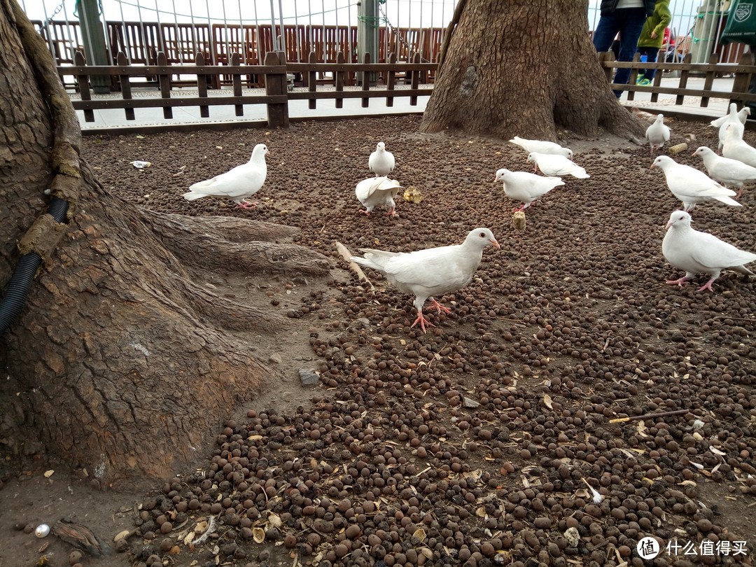 只是快一点：魅蓝5S智能手机开箱简测