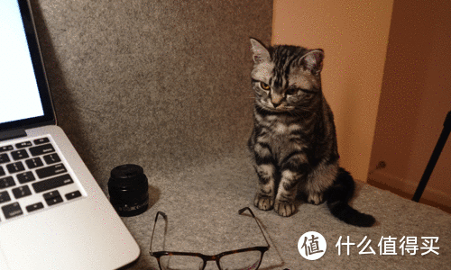 互联网配眼镜初体验——Tapole 第177作品众测