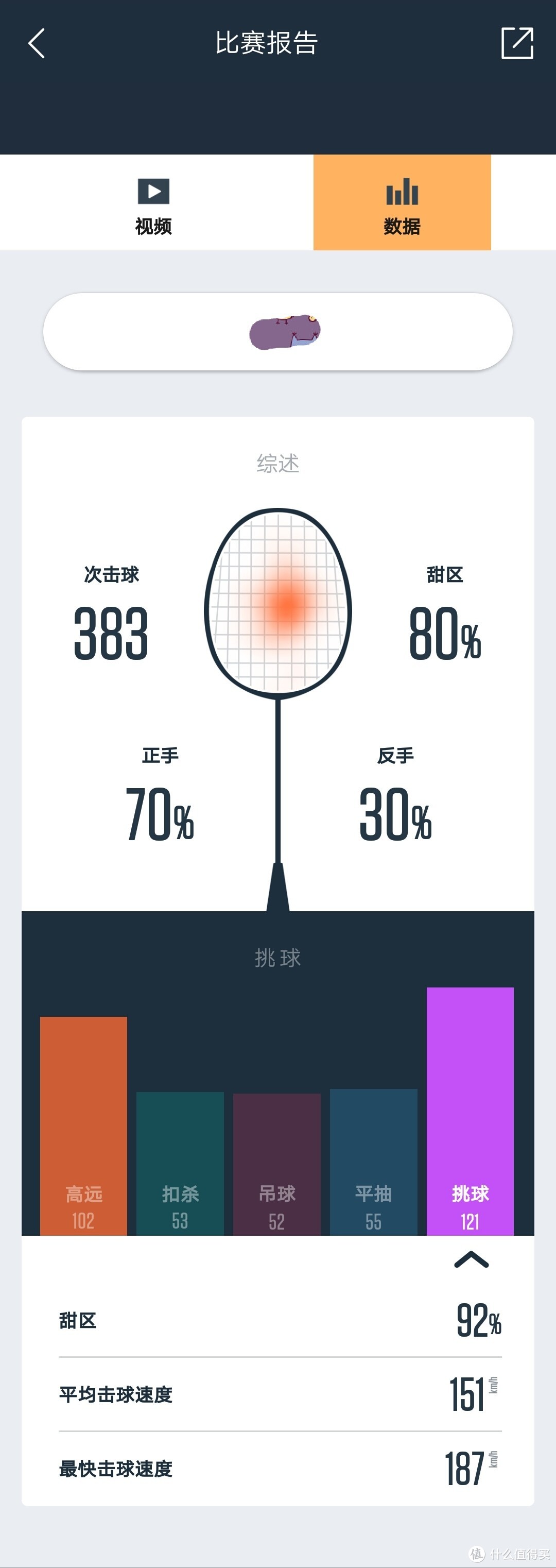 ↑比赛报告中的数据部分（点击报告上面的数据选项 卡可见）