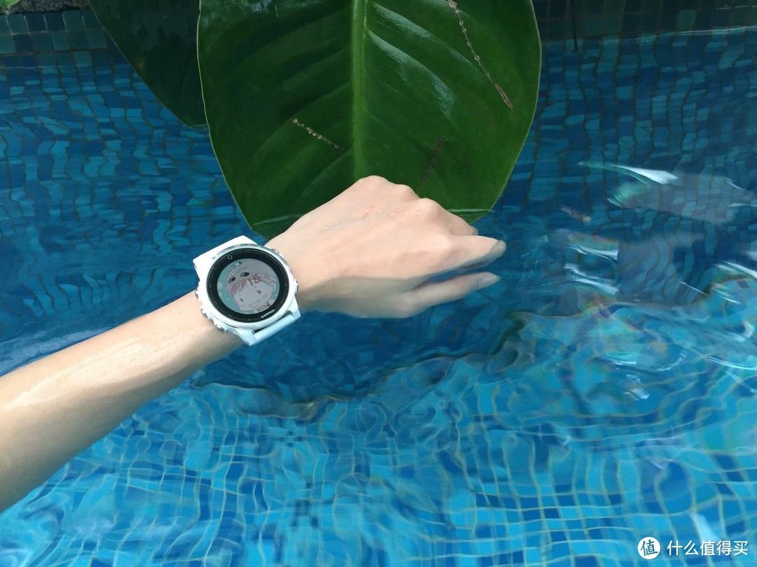 户外运动全能腕表 GARMIN Fenix 5S —— 刚柔并济 | 智能有型