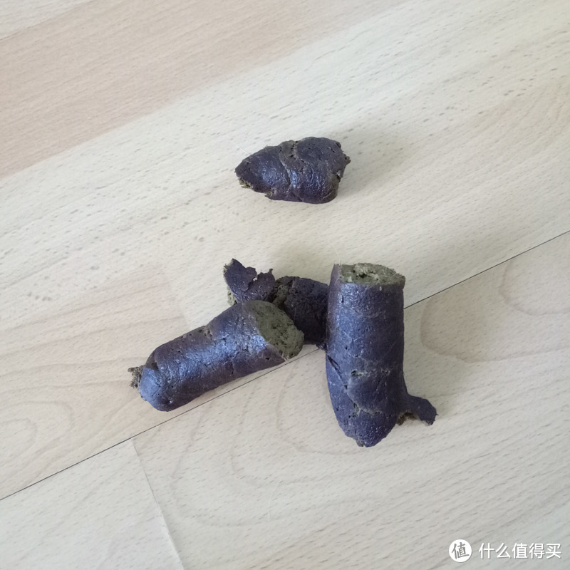 爱狗狗从适合的狗粮开始 普瑞纳丝倍亮全犬种狗粮体验记