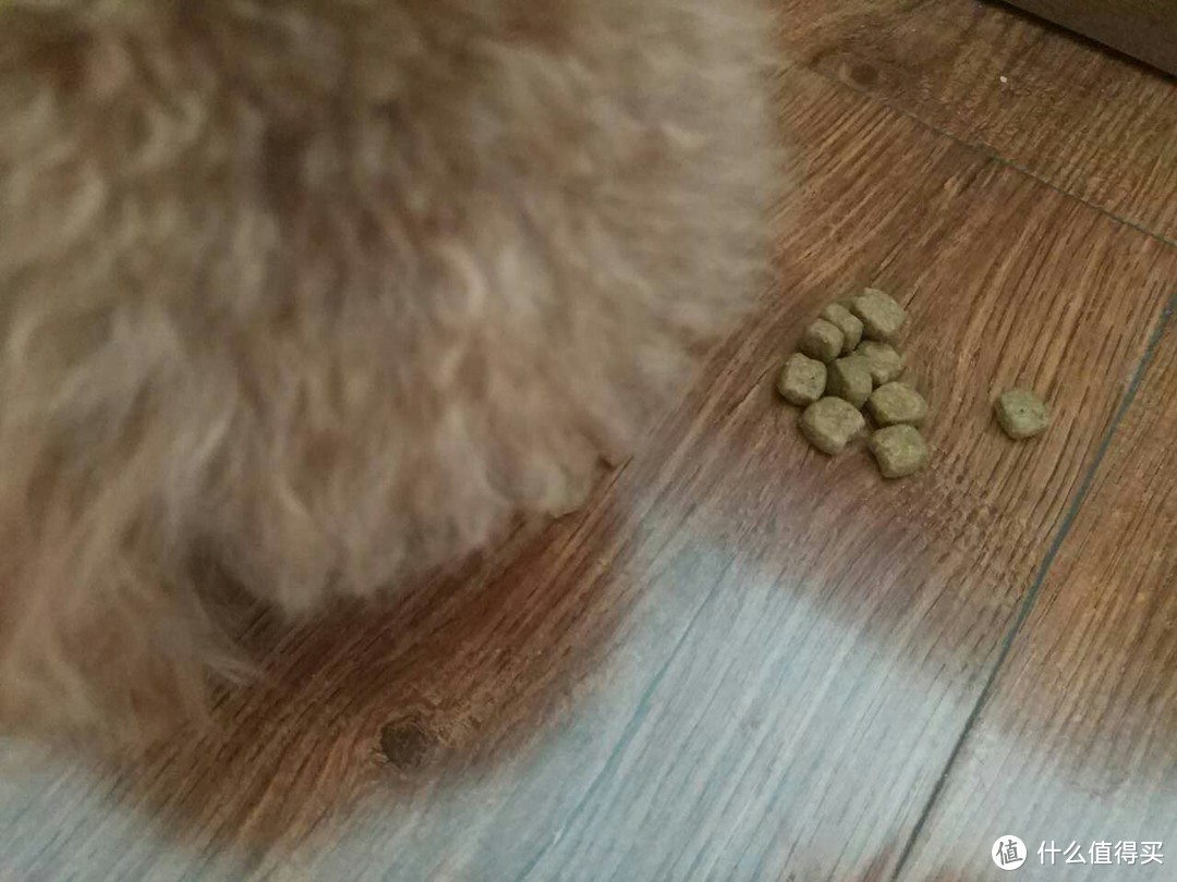 第一次中签居然是是好吃的----丝倍亮犬粮众测体验