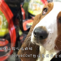 要想狗儿跑的快，就得让狗儿吃的好——SUPERCOAT丝倍亮成犬全价犬粮评测