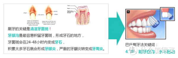 你，会刷牙吗？——贝医生牙刷评测报告