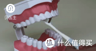 你，会刷牙吗？——贝医生牙刷评测报告