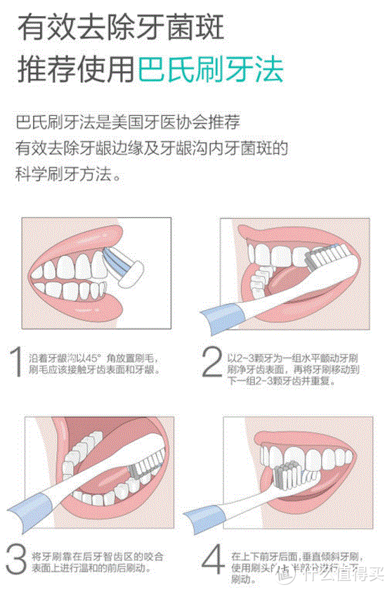 #新人众测#小米贝医生巴氏牙刷旅行装使用一周体验