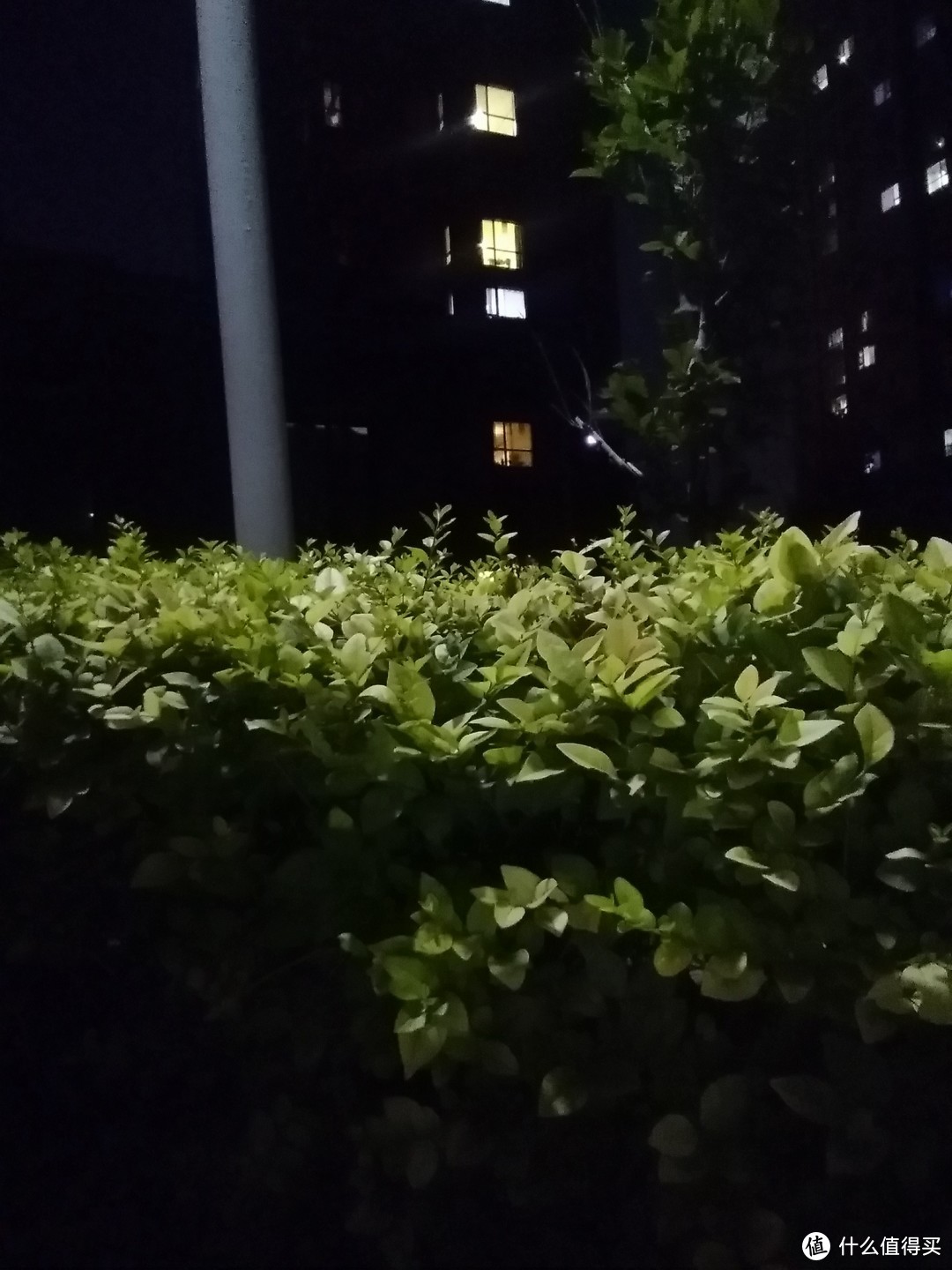 夜晚，闪光灯