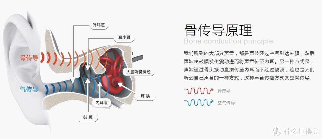 AfterShokz韶音Breez骨传导蓝牙耳机初体验