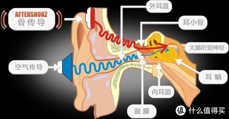 运动的福音：AfterShokz AS501 Breez韶音分离式骨传导蓝牙耳机评测