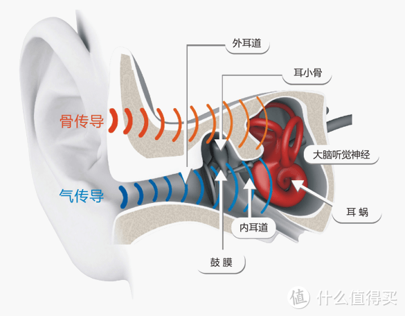 大材小用的神器：韶音 Breez骨传导运动蓝牙耳机体验