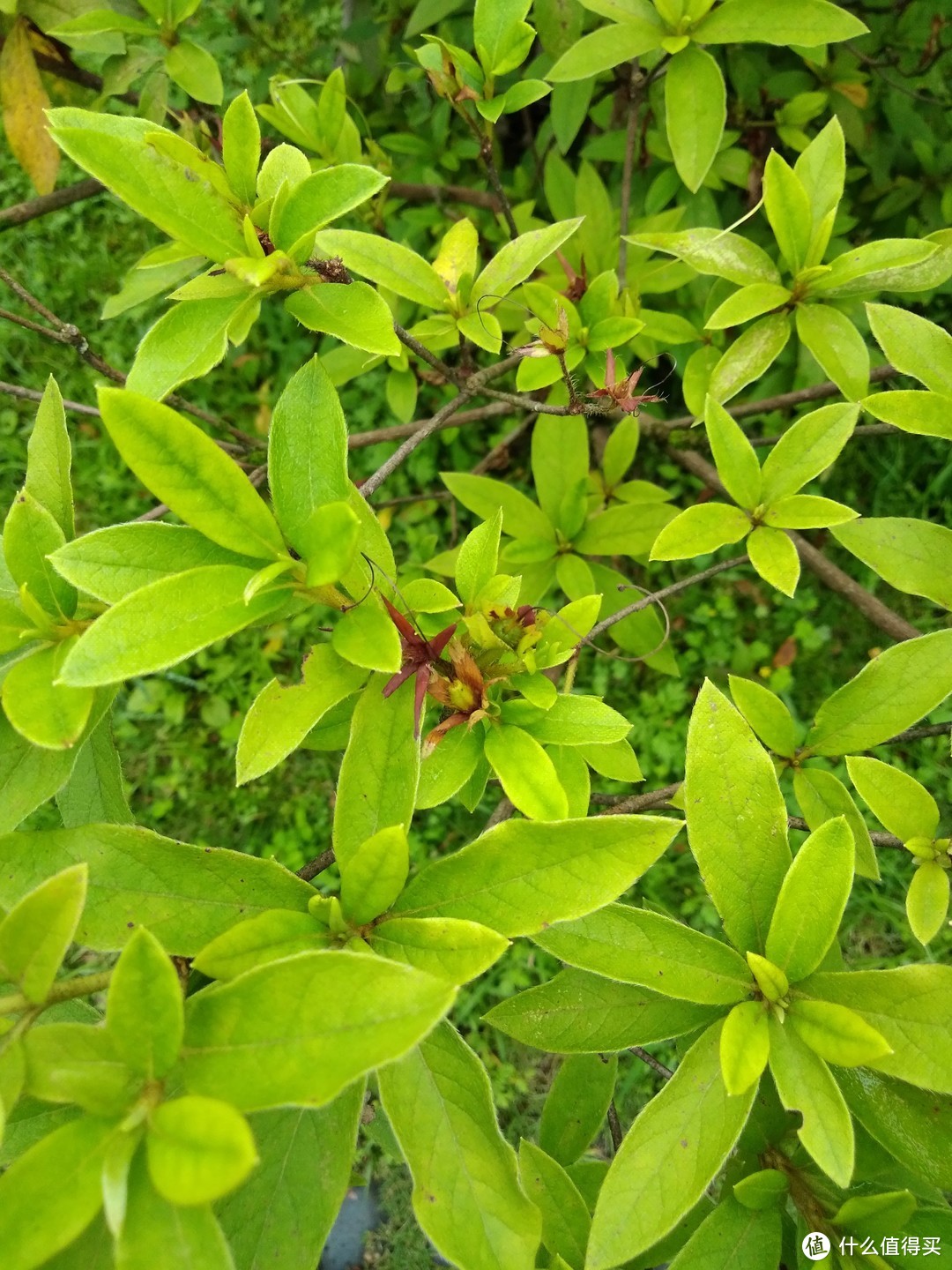 千元性价比首选：荣耀畅玩6A智能手机评测