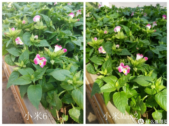 追求“MAX”，只为给你“最好”——小米Max2高配版测评