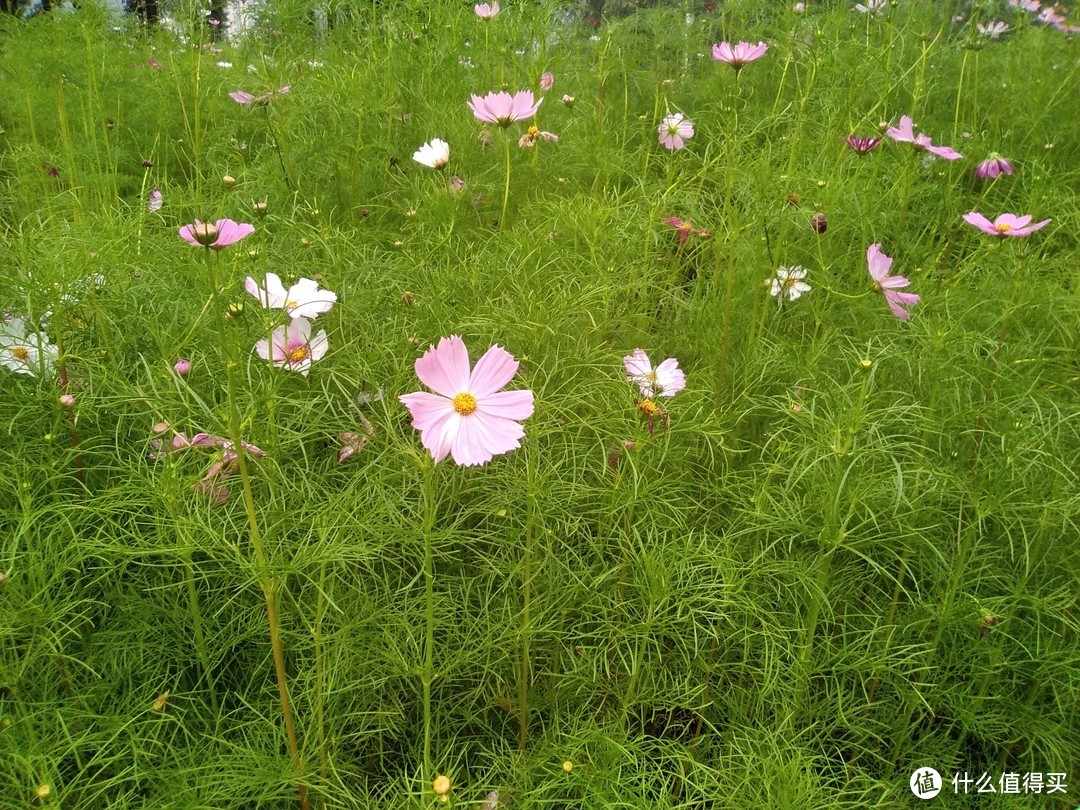 续航给力还能打电话，一看就是正经平板：荣耀畅玩平板2使用感受